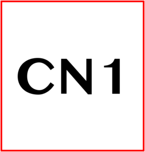 CN1 Productions logo