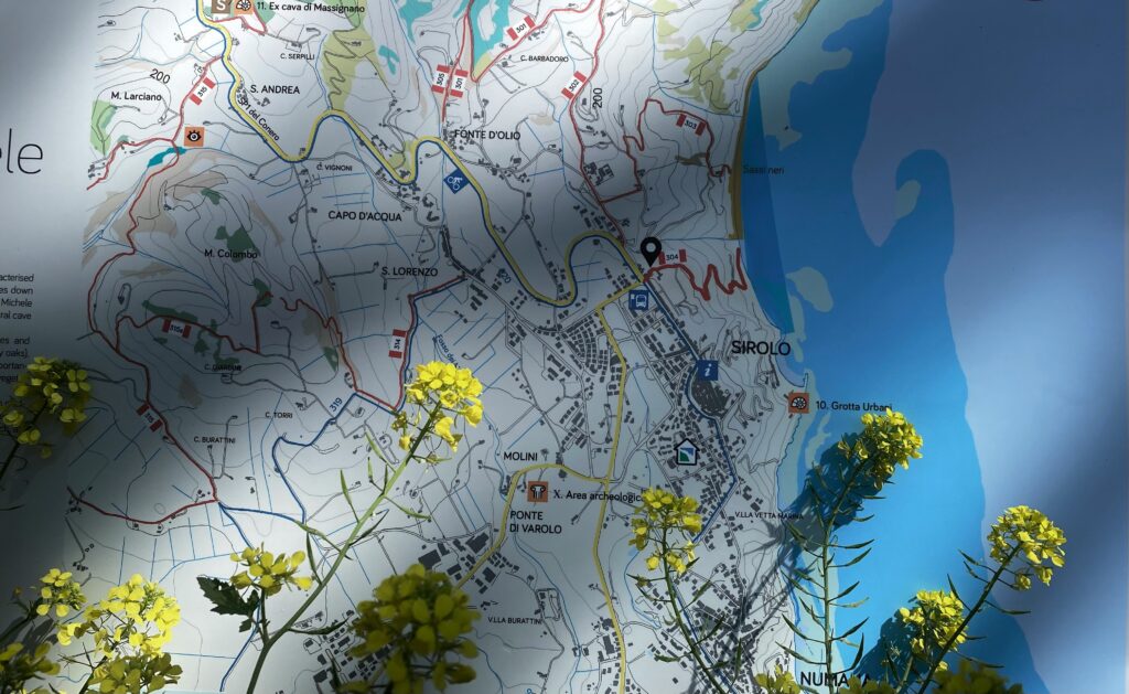 image of a map of a local area